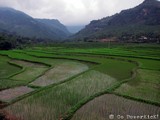 images/travels/viet_01/Namtrav-24.jpg