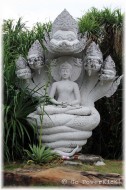 7 Headed Naga 7 Headed Naga