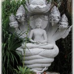 7 Headed Naga