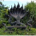 Naga