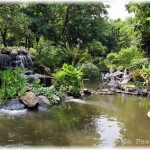 Waterfall and Stream