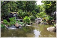 Waterfall and Stream
