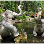 Elephants in the Stream