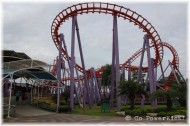The Vortex