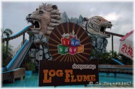Log Flume