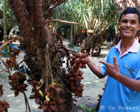 6 Must Do Activities in Phatthalung